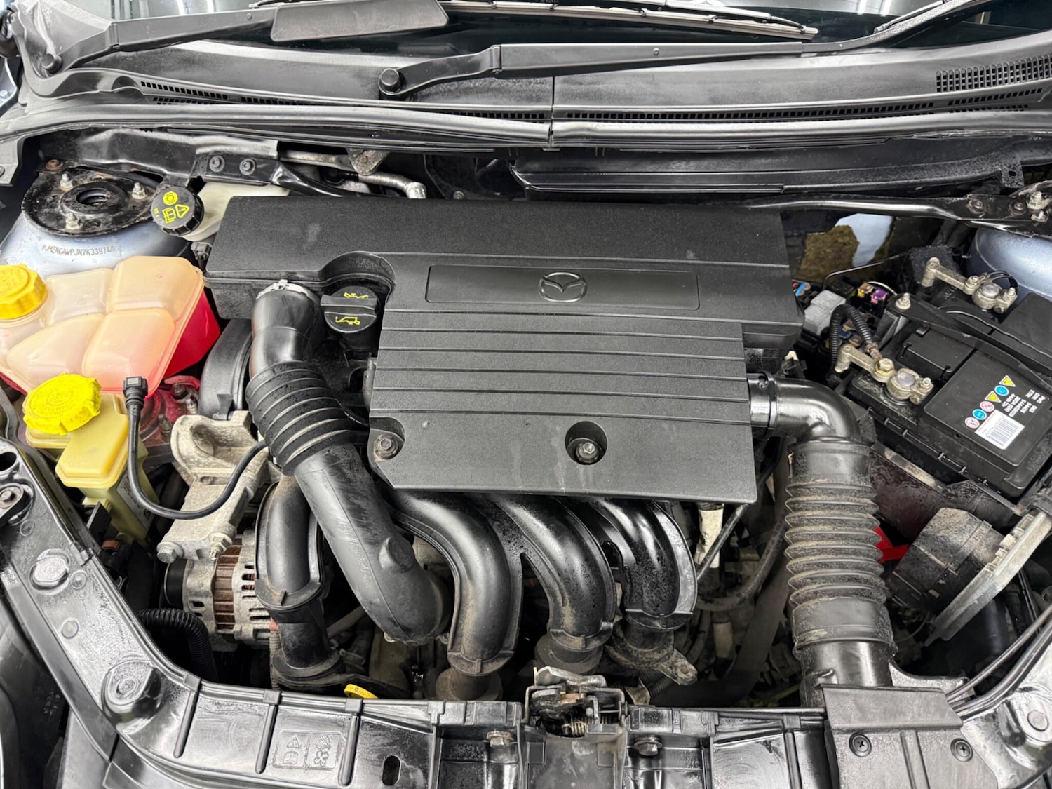 Used Mazda Mazda2 2007 for sale - 77992946: Photo 12