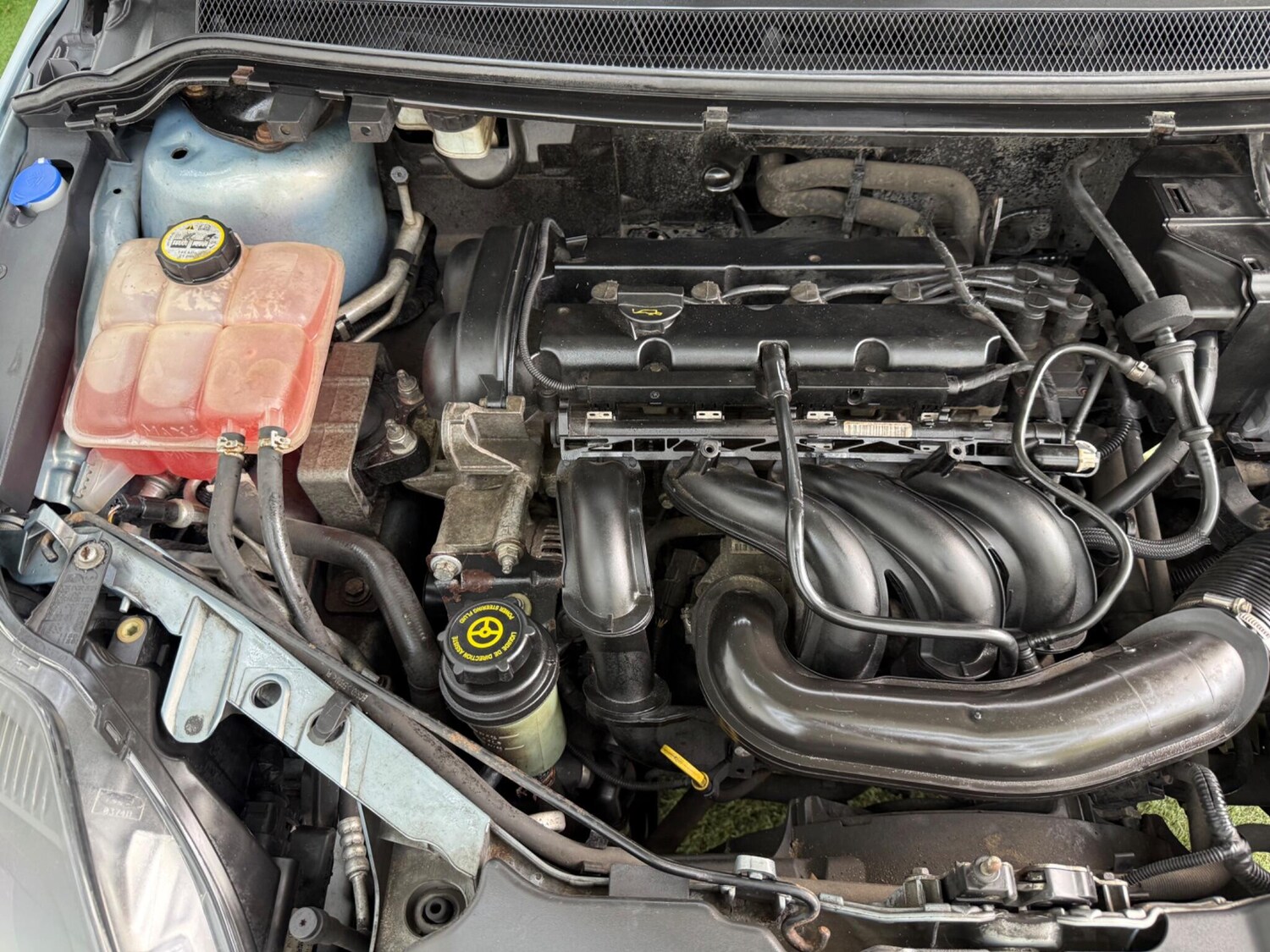 Used Ford Focus for sale - 78204023: Photo 13