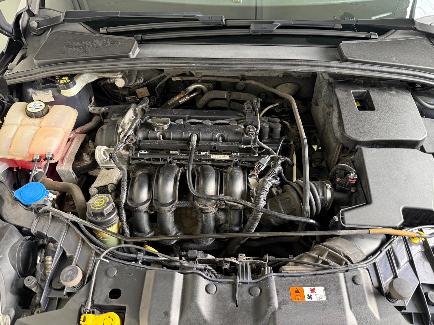 Used Ford Focus 2011 for sale - 76839842: Photo 13