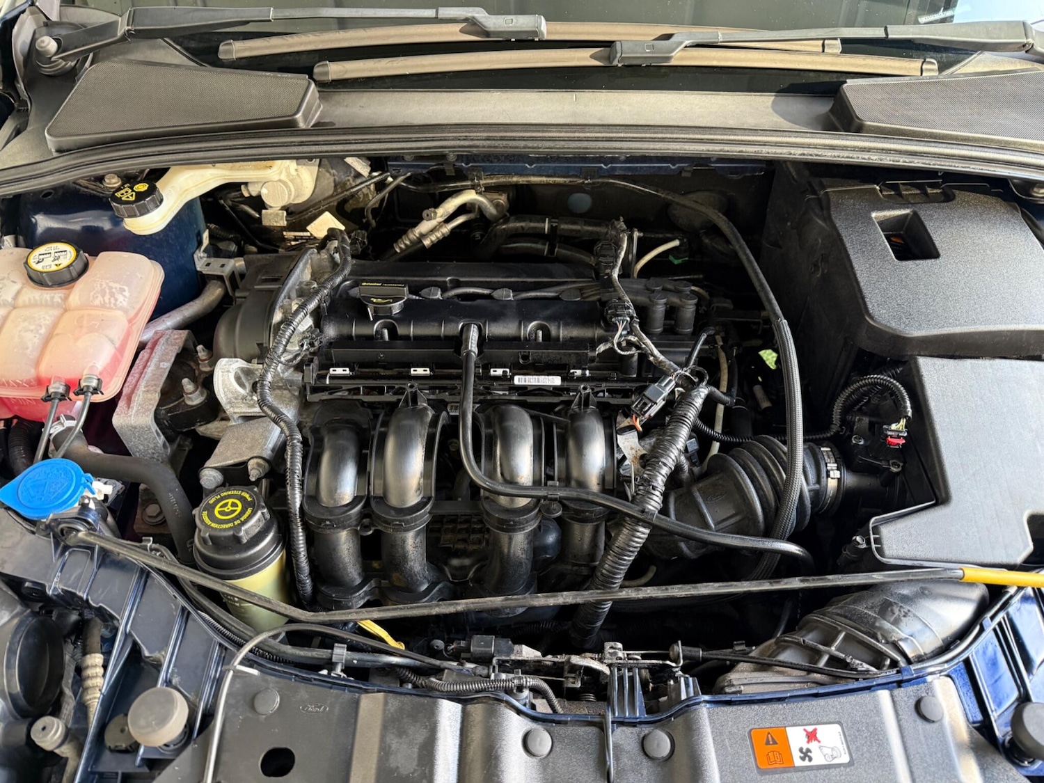 Used Ford Focus for sale - 77017042: Photo 13