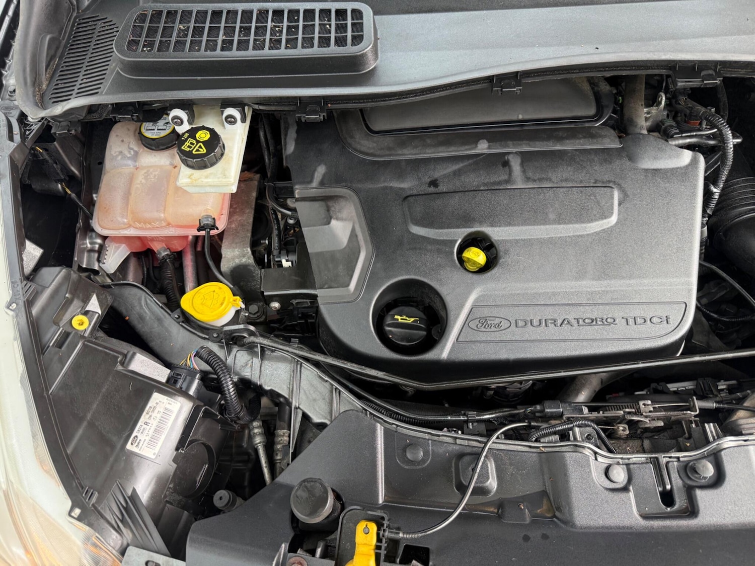 Used Ford Kuga for sale - 78214531: Photo 13