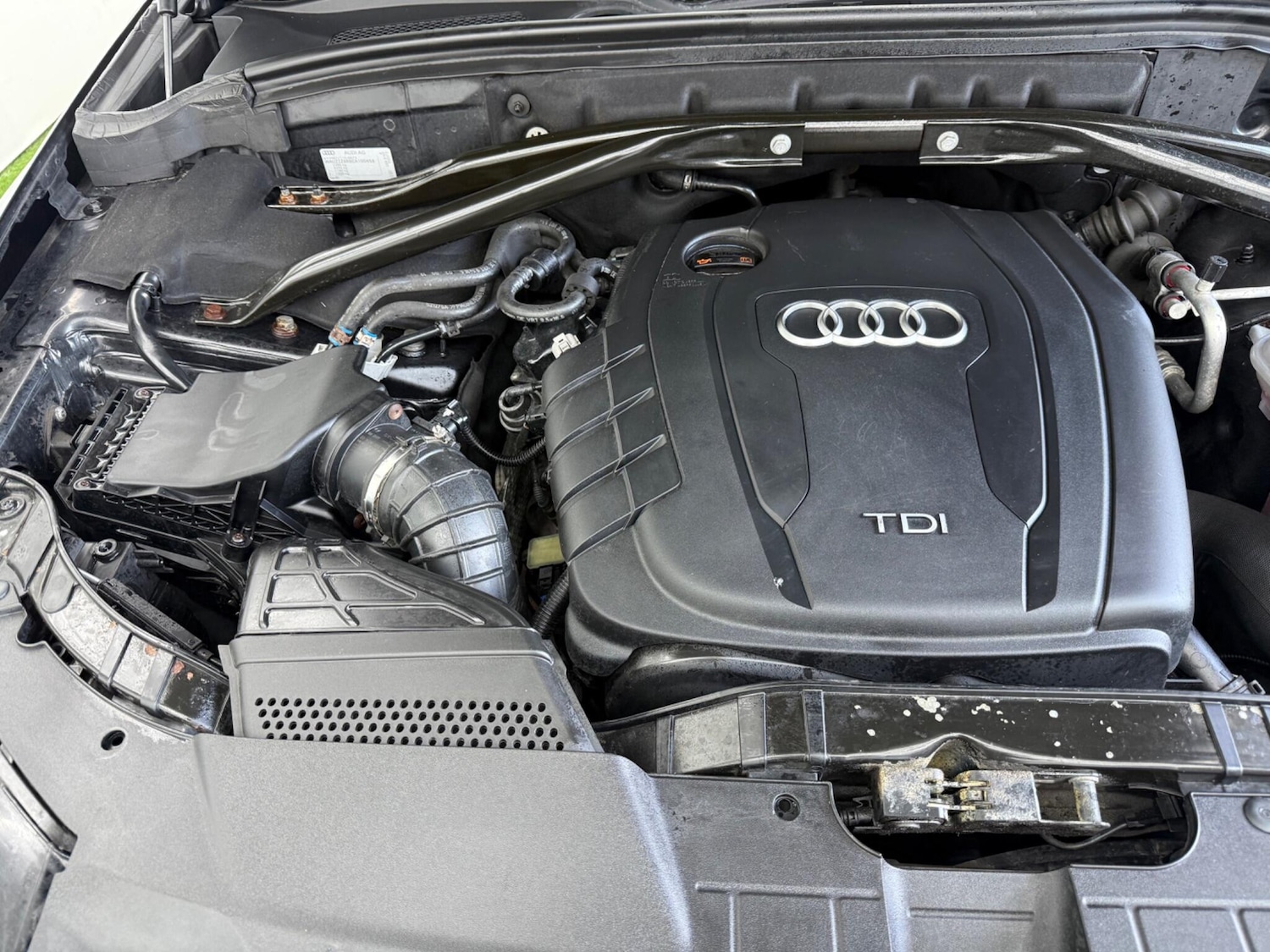 Used Audi Q5 for sale - 78128149: Photo 13