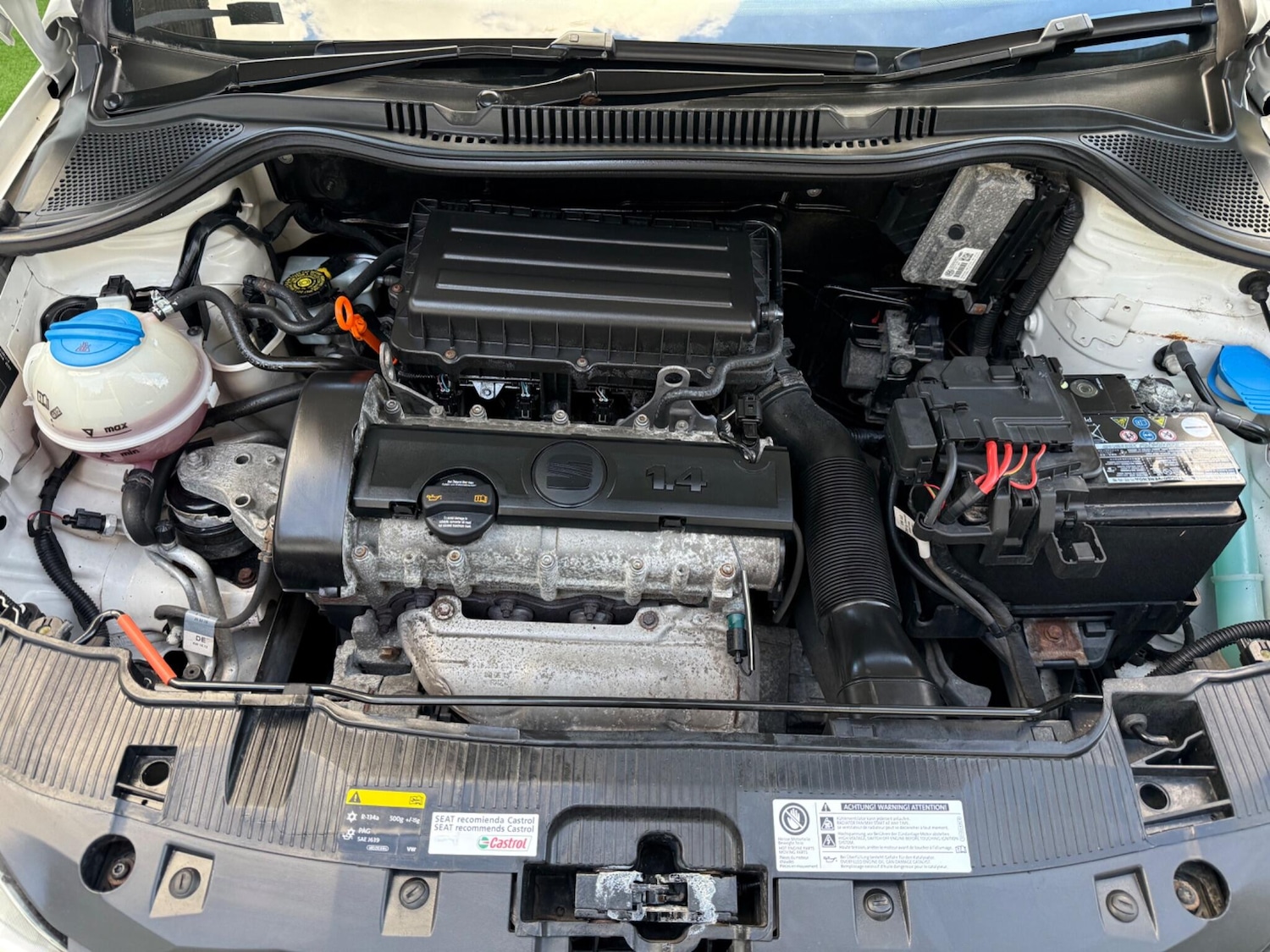 Used SEAT Ibiza 2013 for sale - 75809248: Photo 13