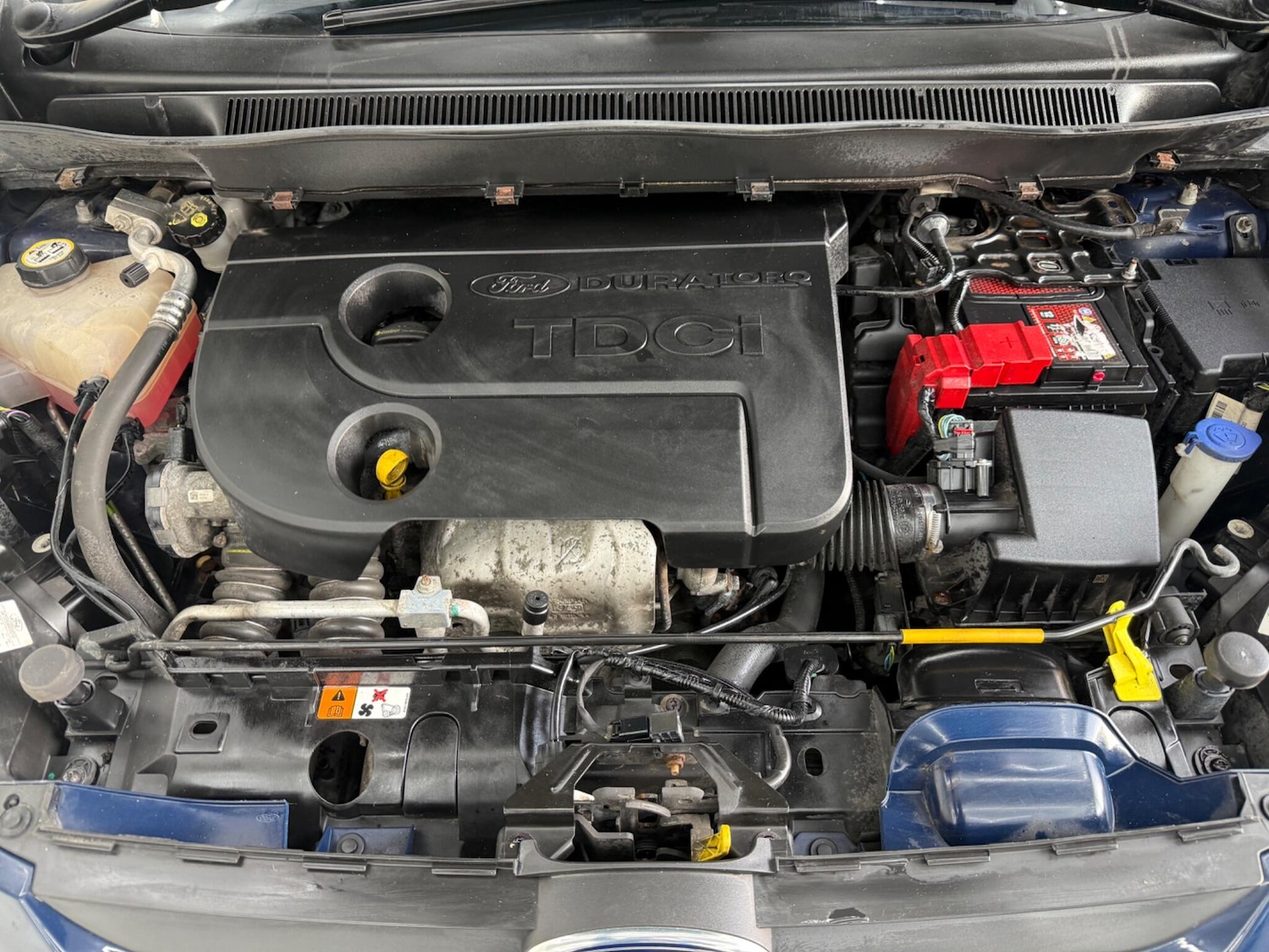 Used Ford B-MAX for sale - 77754169: Photo 13