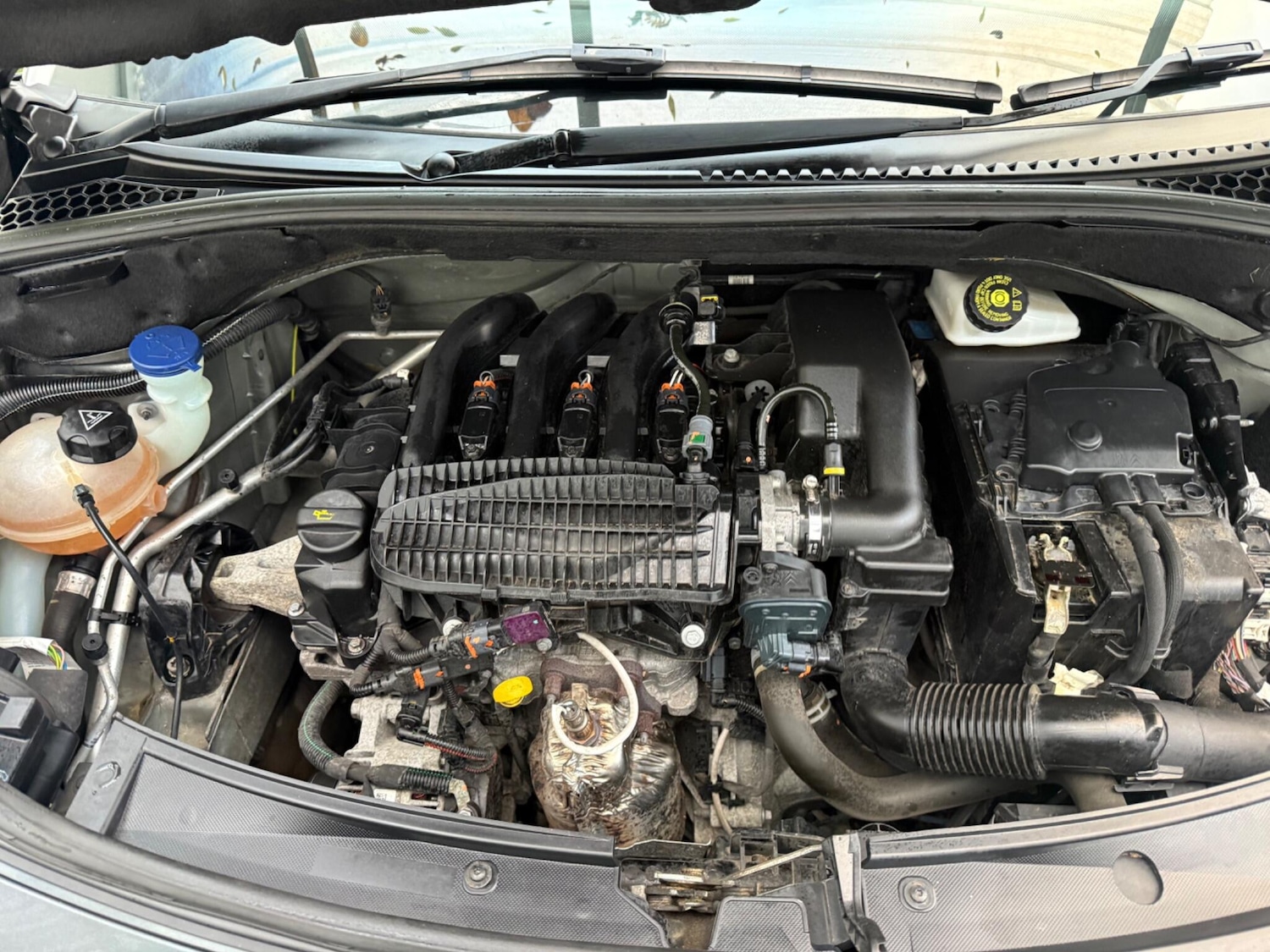 Used Citroen C3 2015 for sale - 76336827: Photo 13