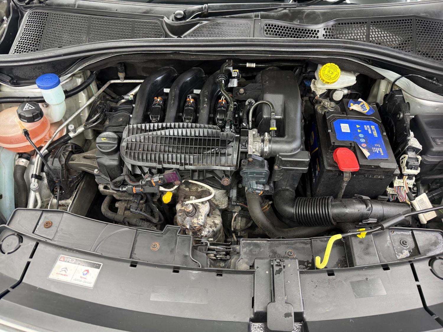 Used Citroen C4 Cactus 2016 for sale - 77315407: Photo 13