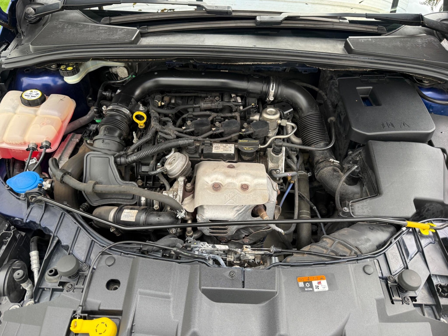 Used Ford Focus 2016 for sale - 76399213: Photo 13