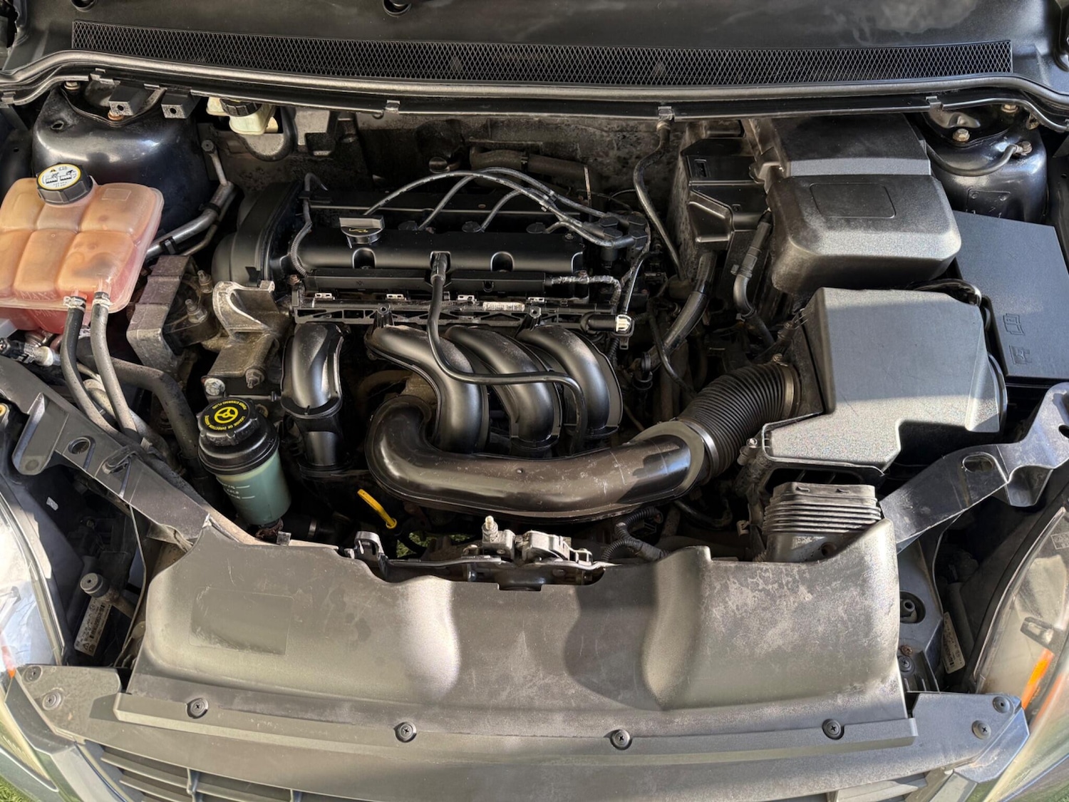 Used Ford Focus 2008 for sale - 77057595: Photo 13