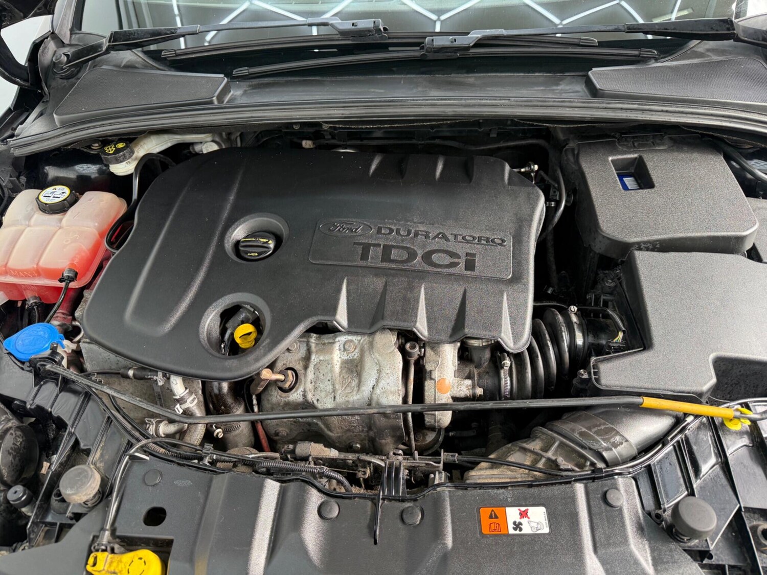 Used Ford Focus for sale - 77737425: Photo 13