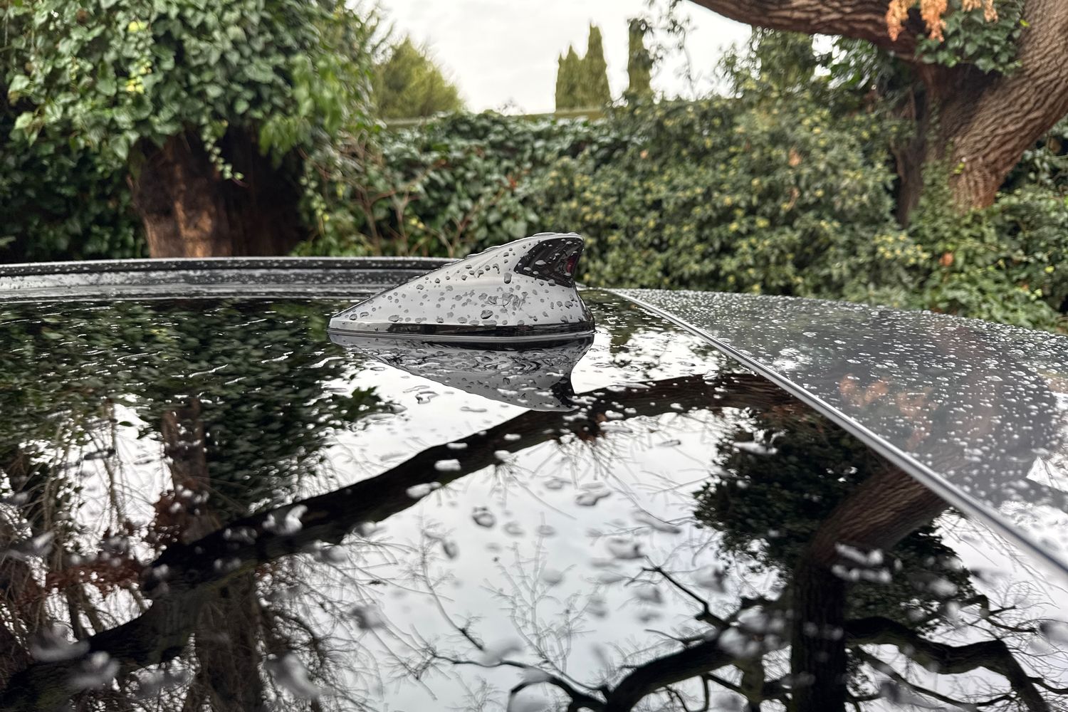 Used Kia Sportage 2024 for sale - 77333162: Photo 39