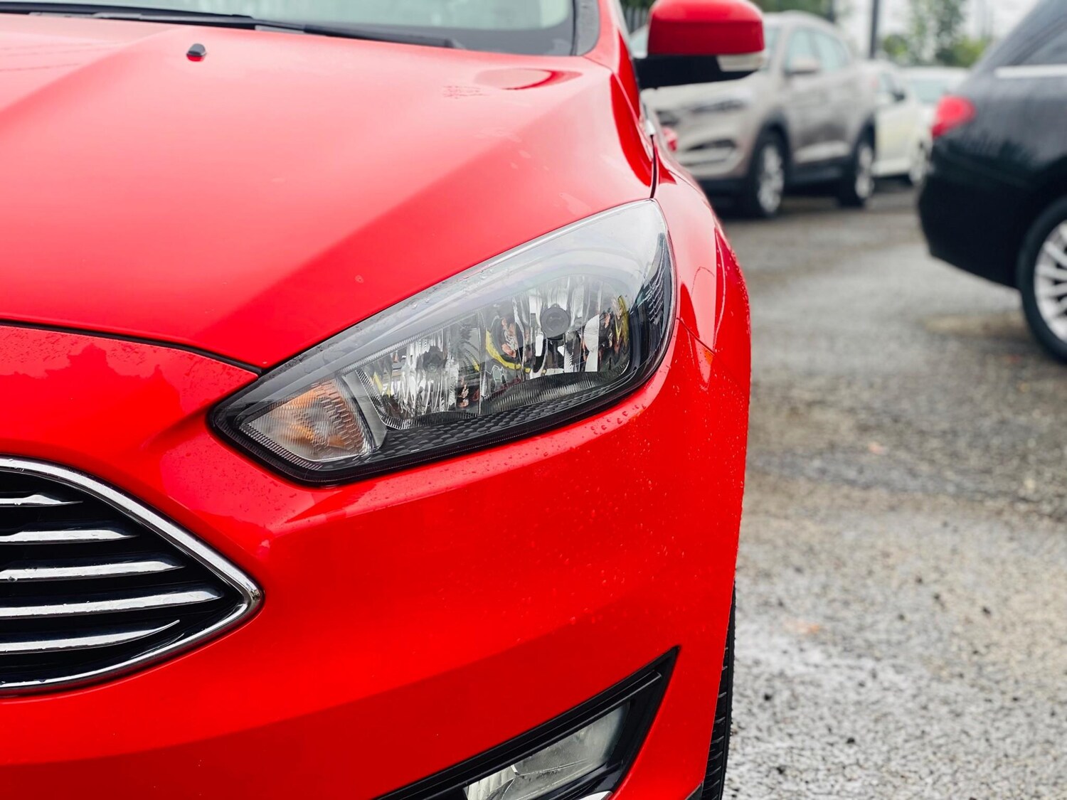 Used Ford Focus 2016 for sale - 77904254: Photo 12