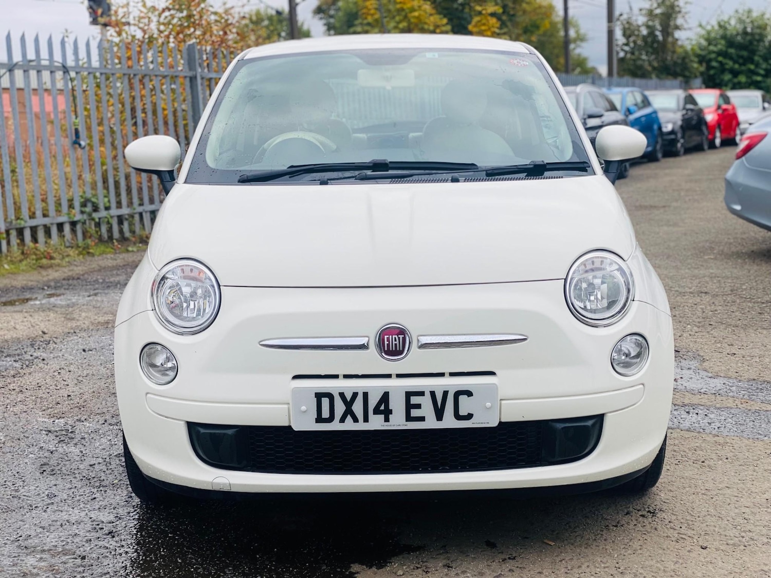 Used Fiat 500 2025 for sale - 76322625: Photo 2
