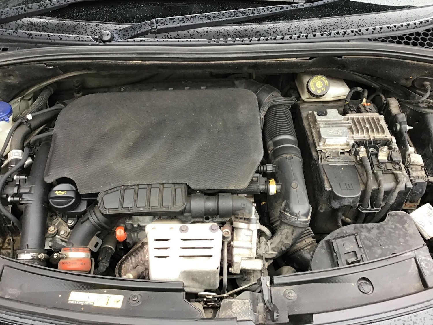 Used DS Automobiles DS 3 2016 for sale - 76389170: Photo 71