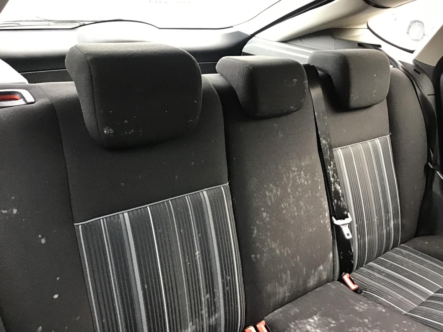 Used Ford Focus 2008 for sale - 76522479: Photo 34