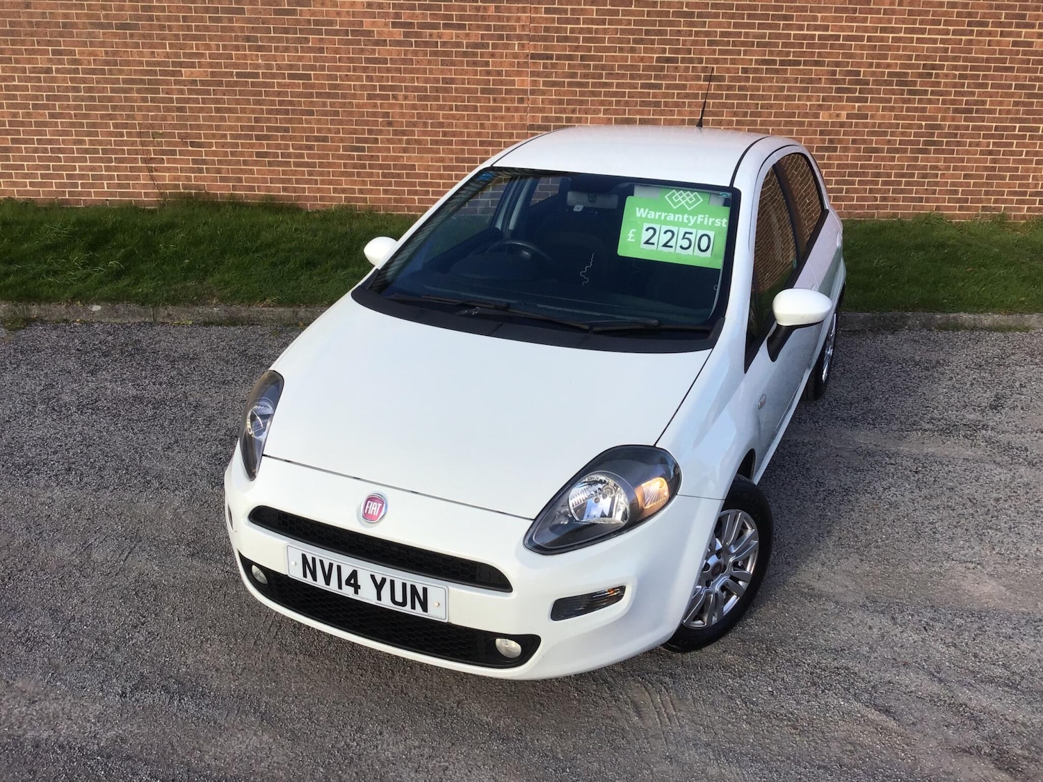 Used Fiat Punto 2014 for sale - 76446805: Photo 11
