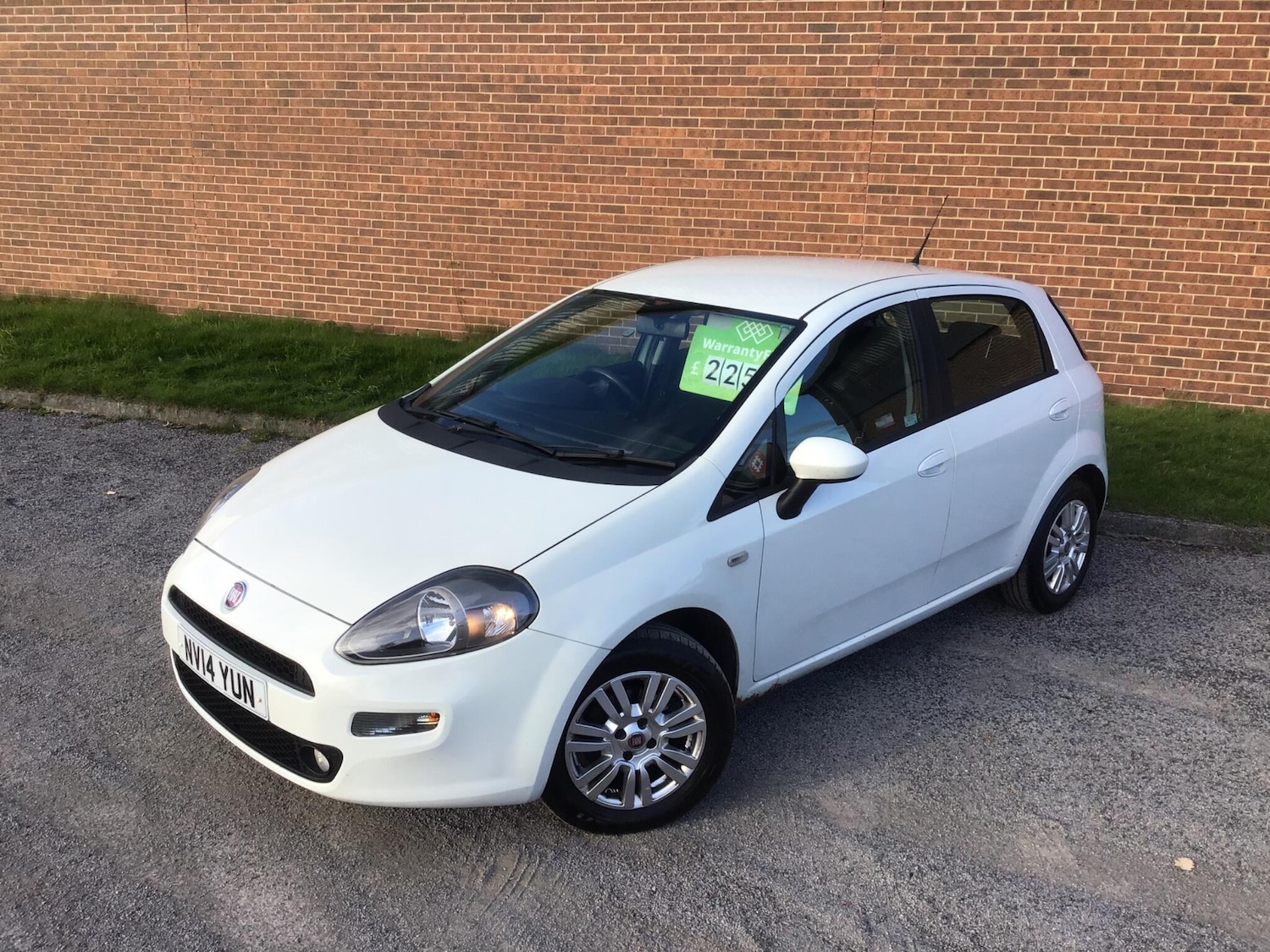 Used Fiat Punto 2014 for sale - 76446805: Photo 12