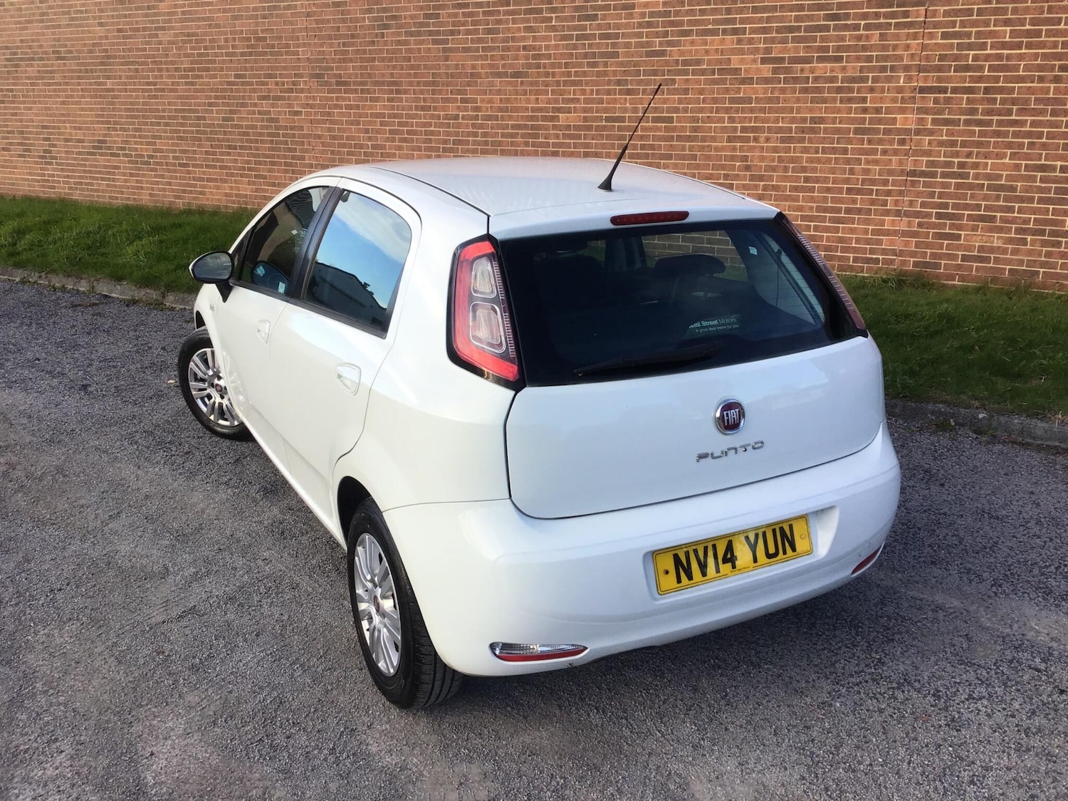 Used Fiat Punto 2014 for sale - 76446805: Photo 14