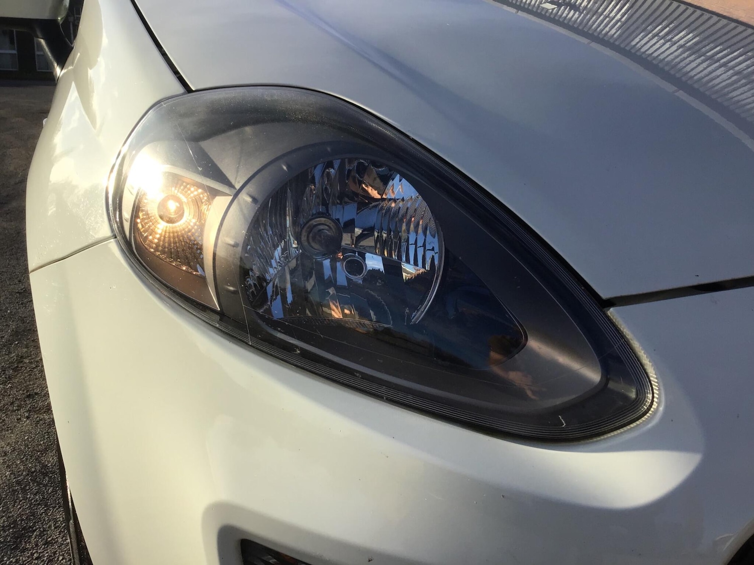 Used Fiat Punto 2014 for sale - 76446805: Photo 33