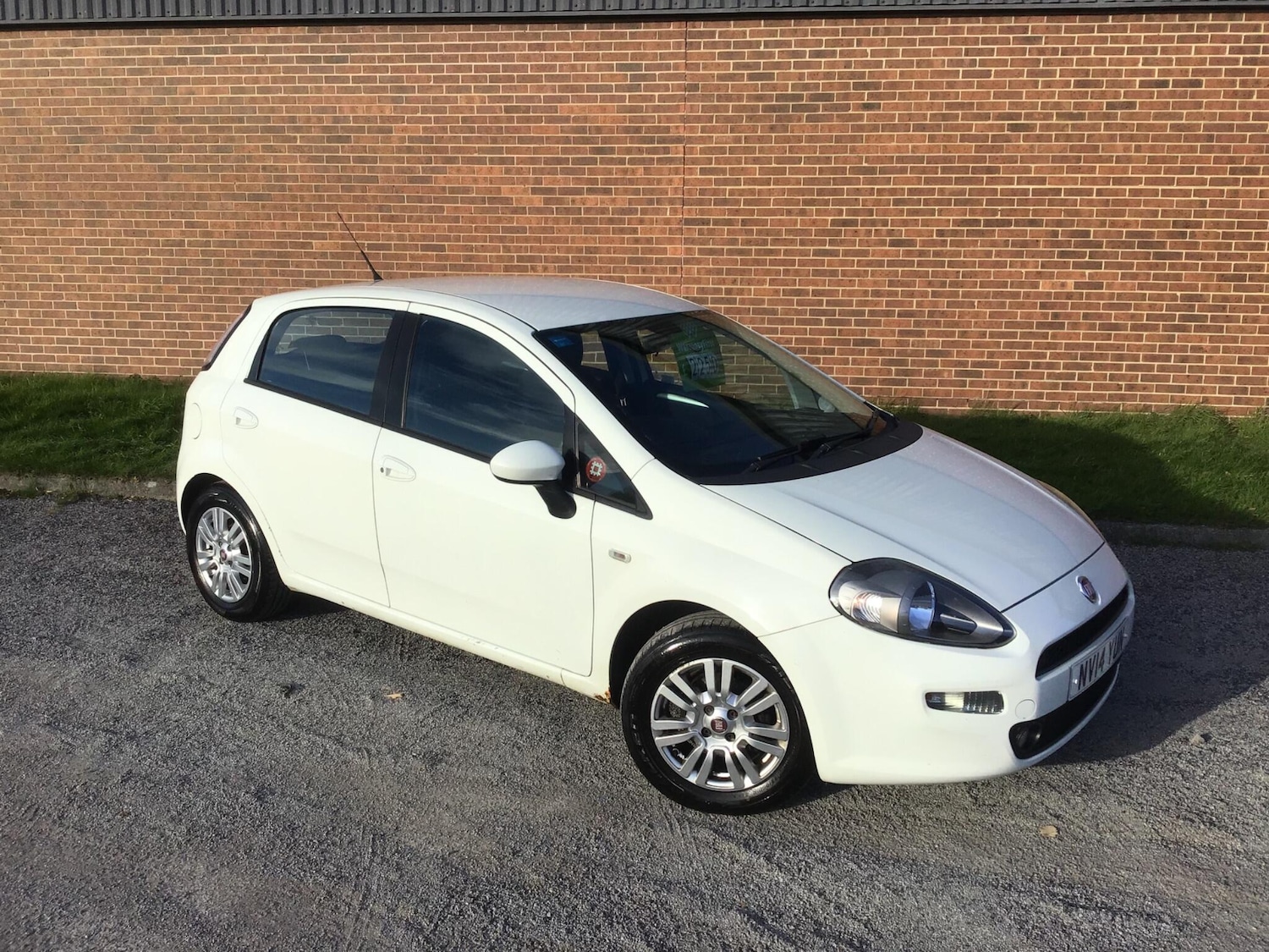 Used Fiat Punto 2014 for sale - 76446805: Photo 5
