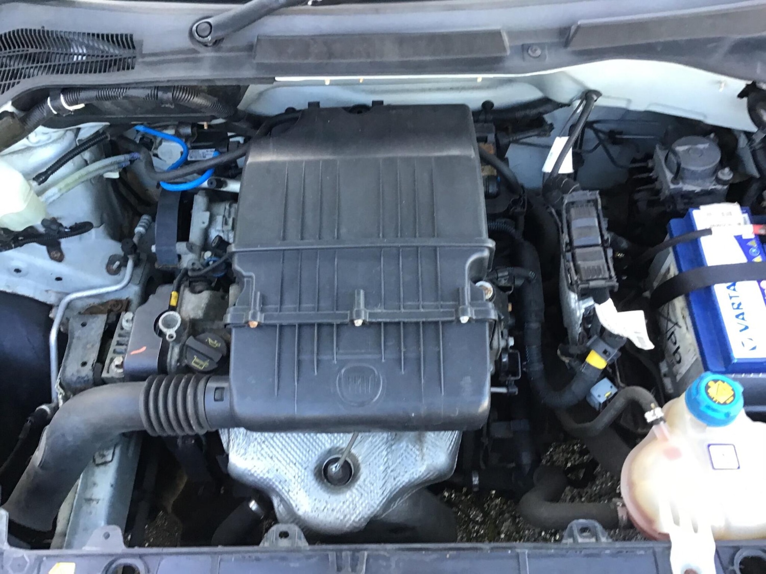 Used Fiat Punto 2014 for sale - 76446805: Photo 52