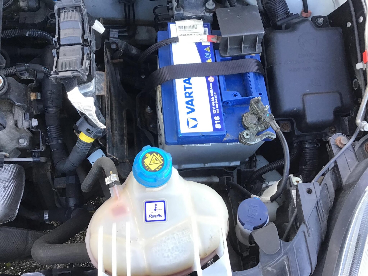 Used Fiat Punto 2014 for sale - 76446805: Photo 53