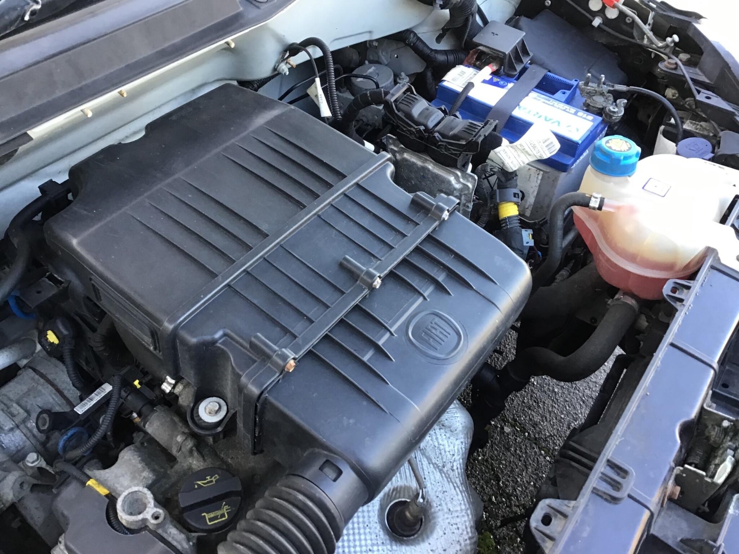 Used Fiat Punto 2014 for sale - 76446805: Photo 54