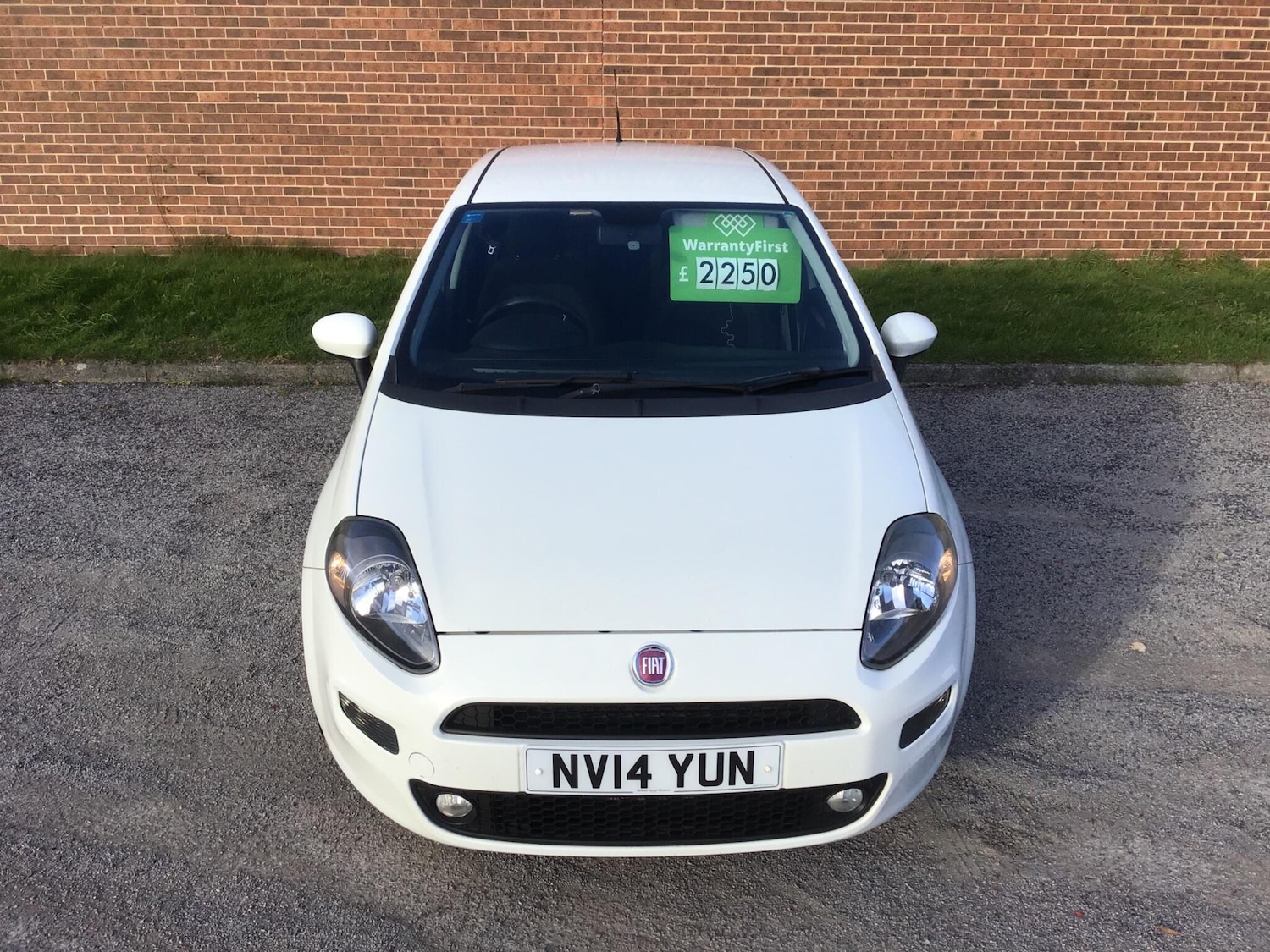 Used Fiat Punto 2014 for sale - 76446805: Photo 8