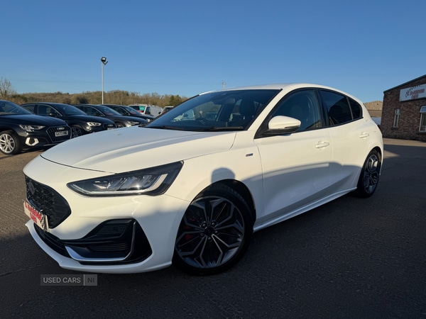 Used Ford Focus 2023 for sale - 77739061: Photo 3