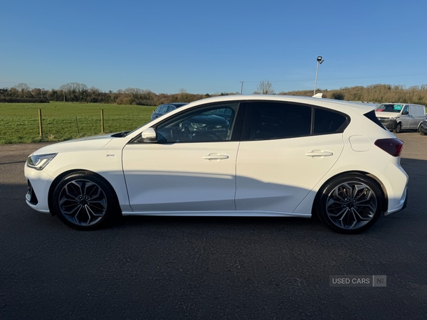 Used Ford Focus 2023 for sale - 77739061: Photo 6