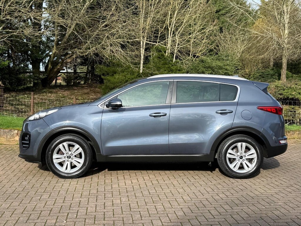 Used Kia Sportage 2017 for sale - 77720141: Photo 14