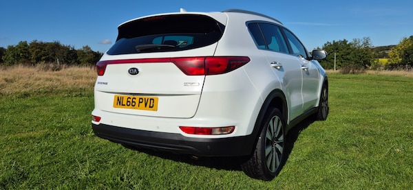 Used Kia Sportage 2016 for sale - 76218741: Photo 3