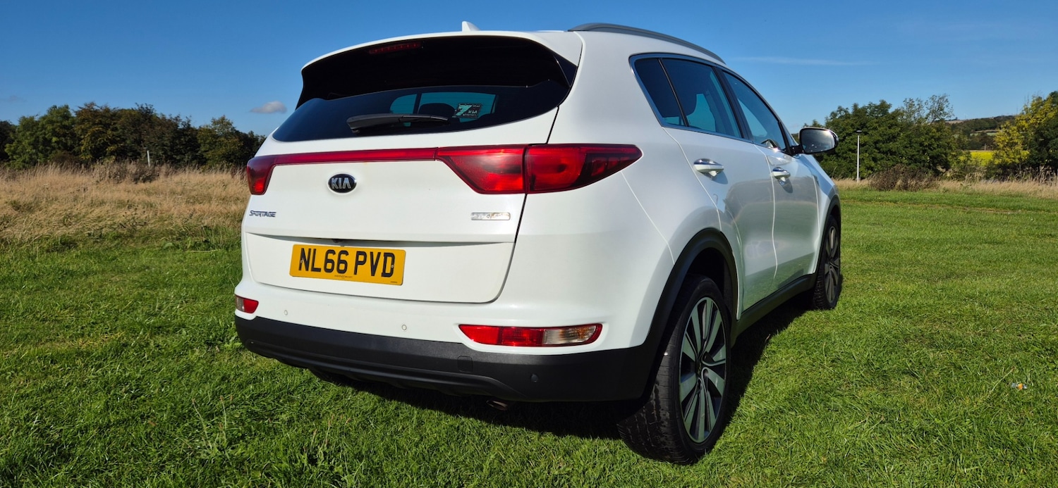 Used Kia Sportage 2016 for sale - 77303826: Photo 3