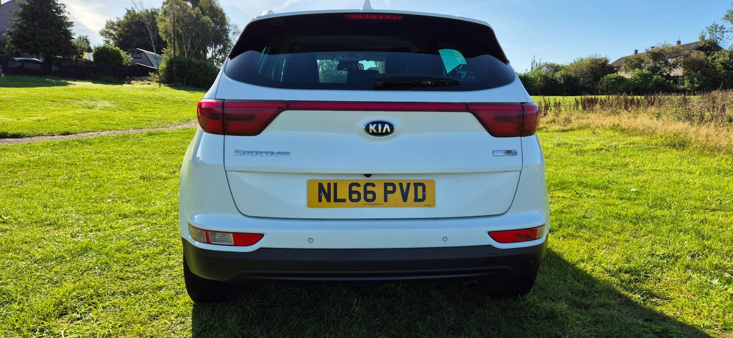 Used Kia Sportage 2016 for sale - 77303826: Photo 9