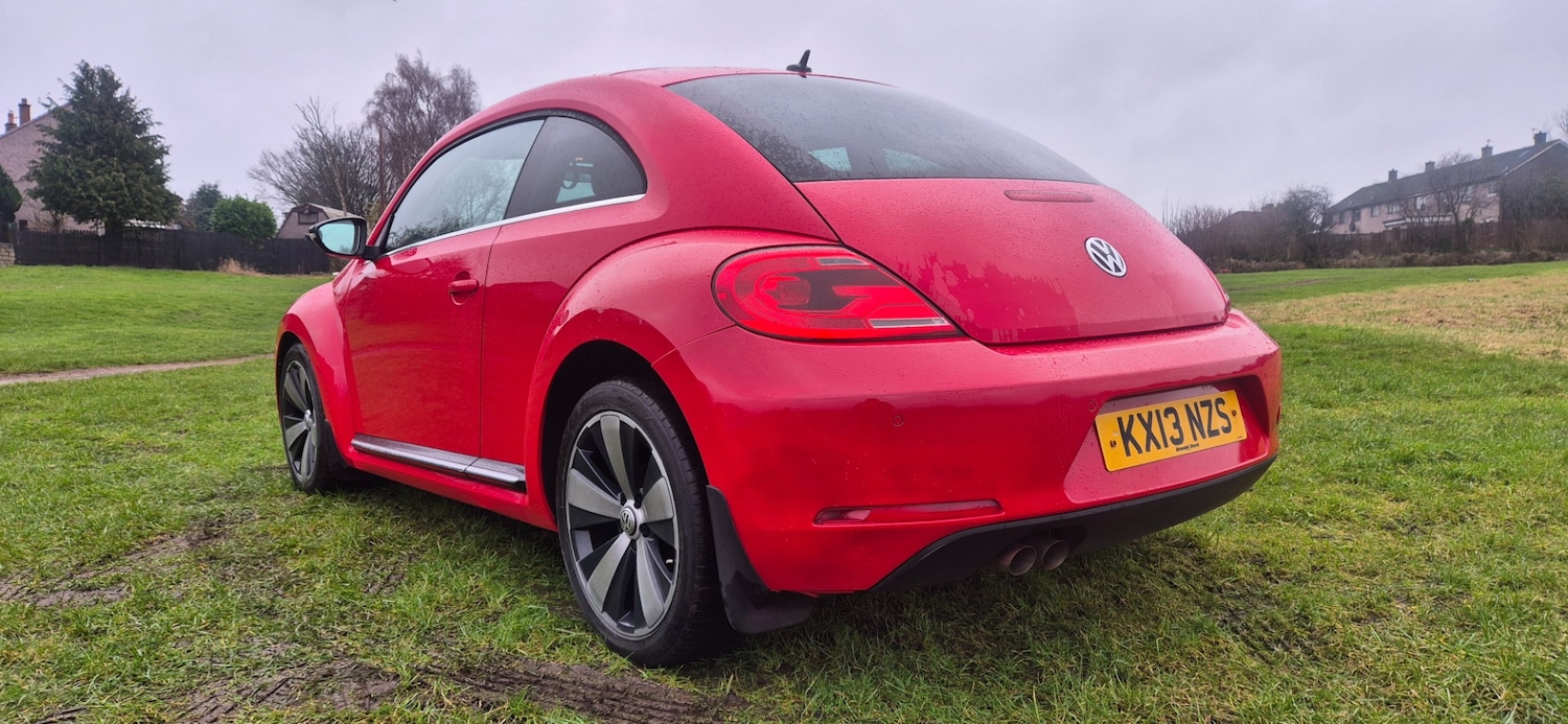 Used Volkswagen Beetle 2013 for sale - 77508782: Photo 3