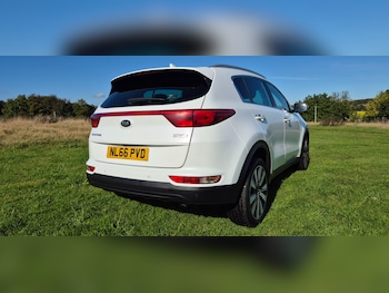 Used Kia Sportage 2016 for sale - 77002303: Photo