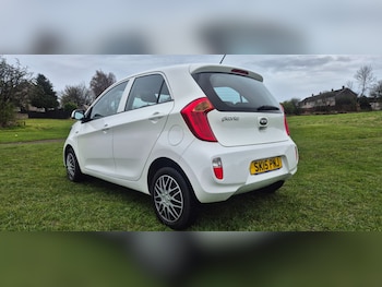 Used Kia Picanto 2015 for sale - 77984080: Photo