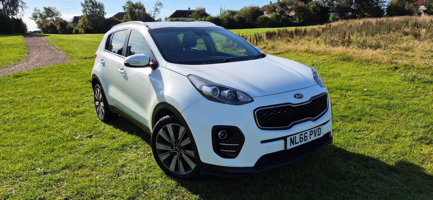 Used Kia Sportage 2016 for sale - 77675618: Photo 8