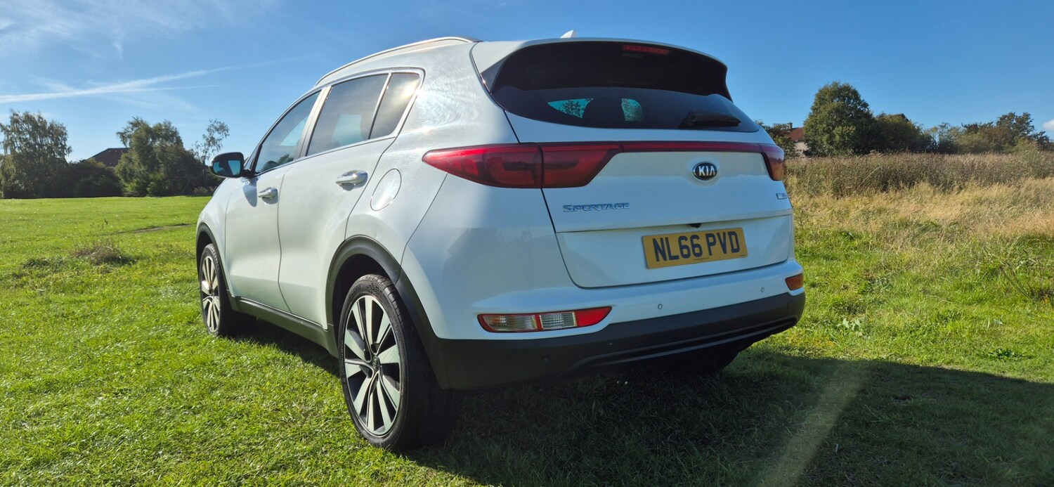 Used Kia Sportage 2016 for sale - 76352315: Photo 3