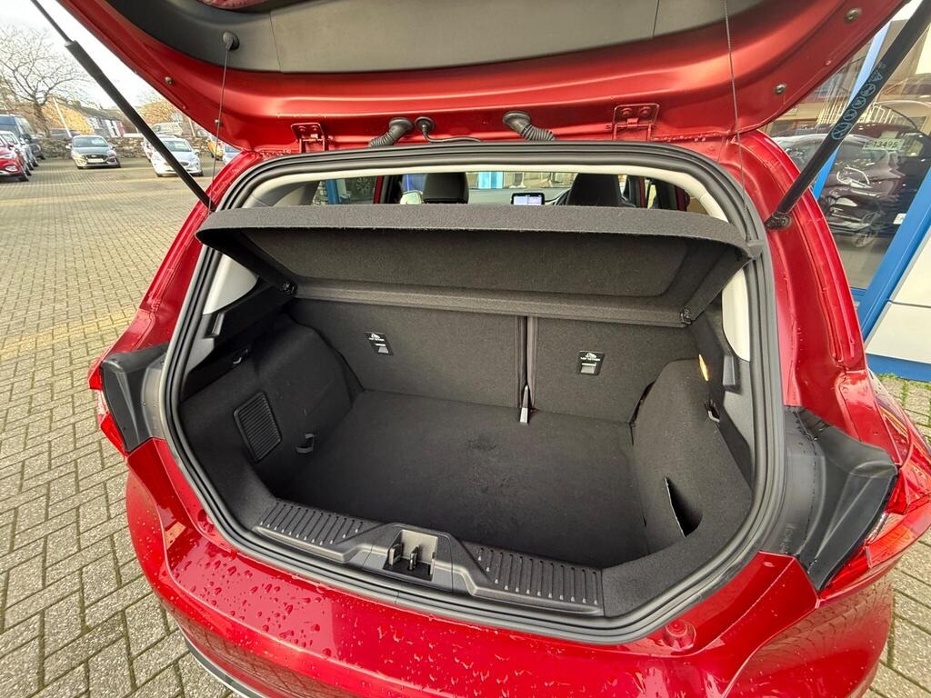 Used Ford Fiesta 2020 for sale - 77024099: Photo 16