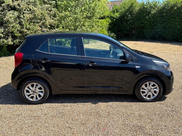 Used Kia Picanto 2017 for sale - 76305595: Photo 7