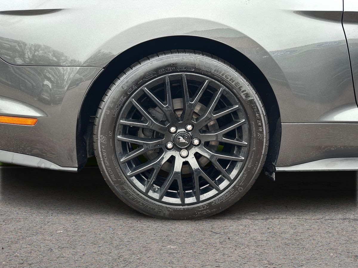 Used Ford Mustang 2019 for sale - 76971319: Photo 9