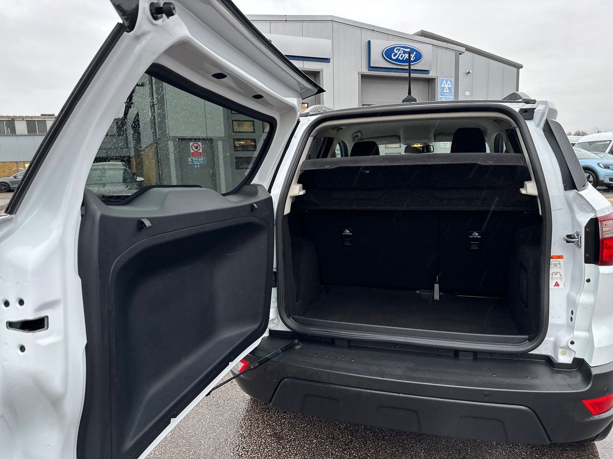 Used Ford Ecosport 2023 for sale - 77293393: Photo 34