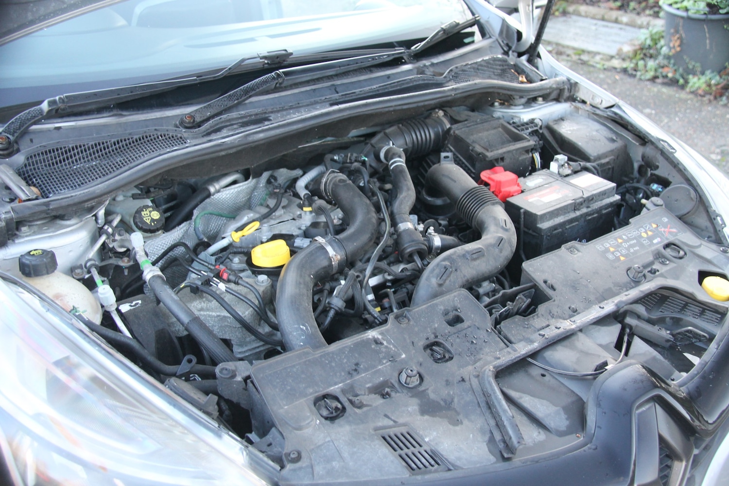 Used Renault Clio 2017 for sale - 76656405: Photo 16