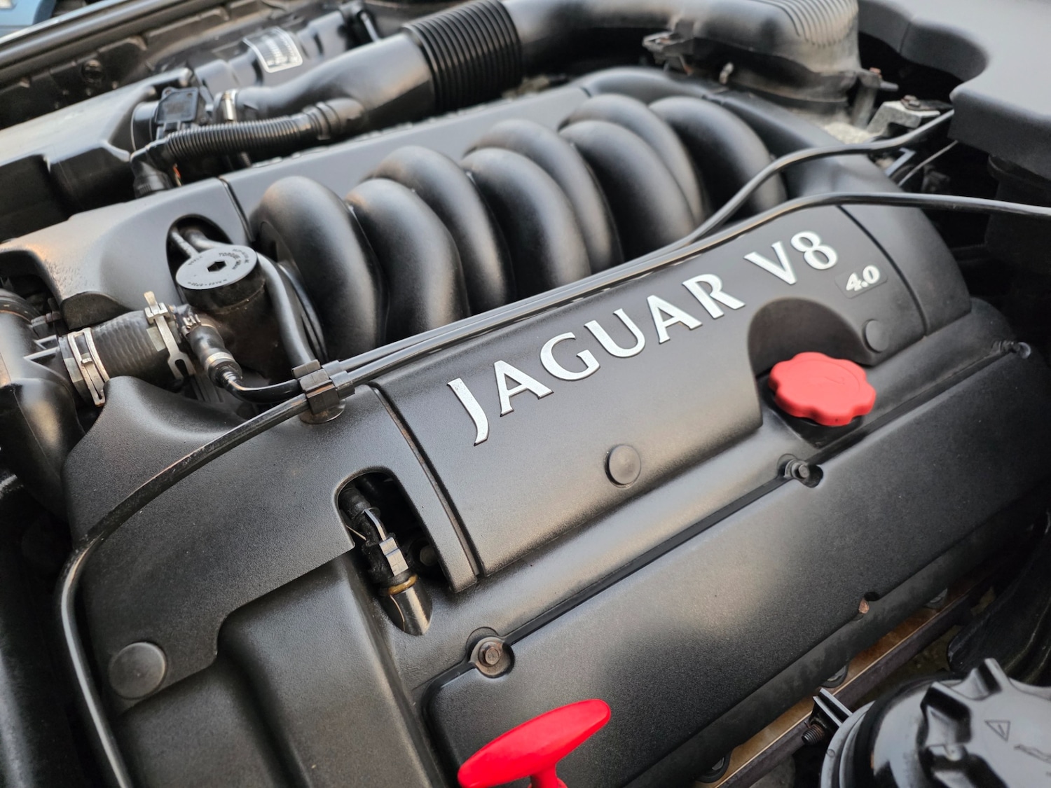 Used Jaguar XJ 2001 for sale - 76504902: Photo 81