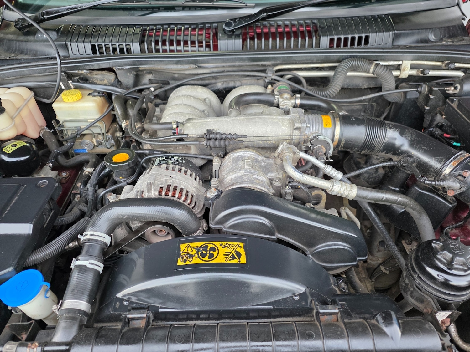 Used Land Rover Range Rover 2000 for sale - 77024125: Photo 79