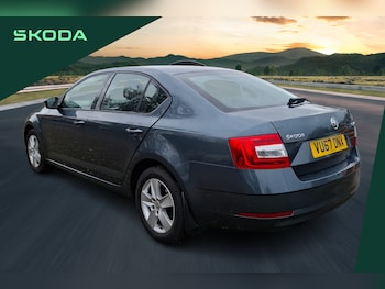 Used Skoda Octavia 2017 for sale - 76966295: Photo