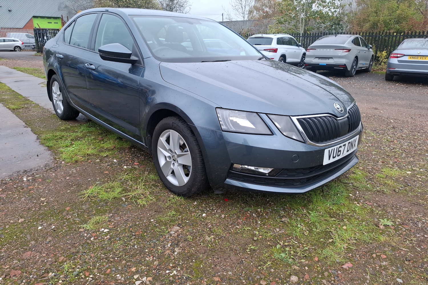 Used Skoda Octavia 2017 for sale - 76966295: Photo 9