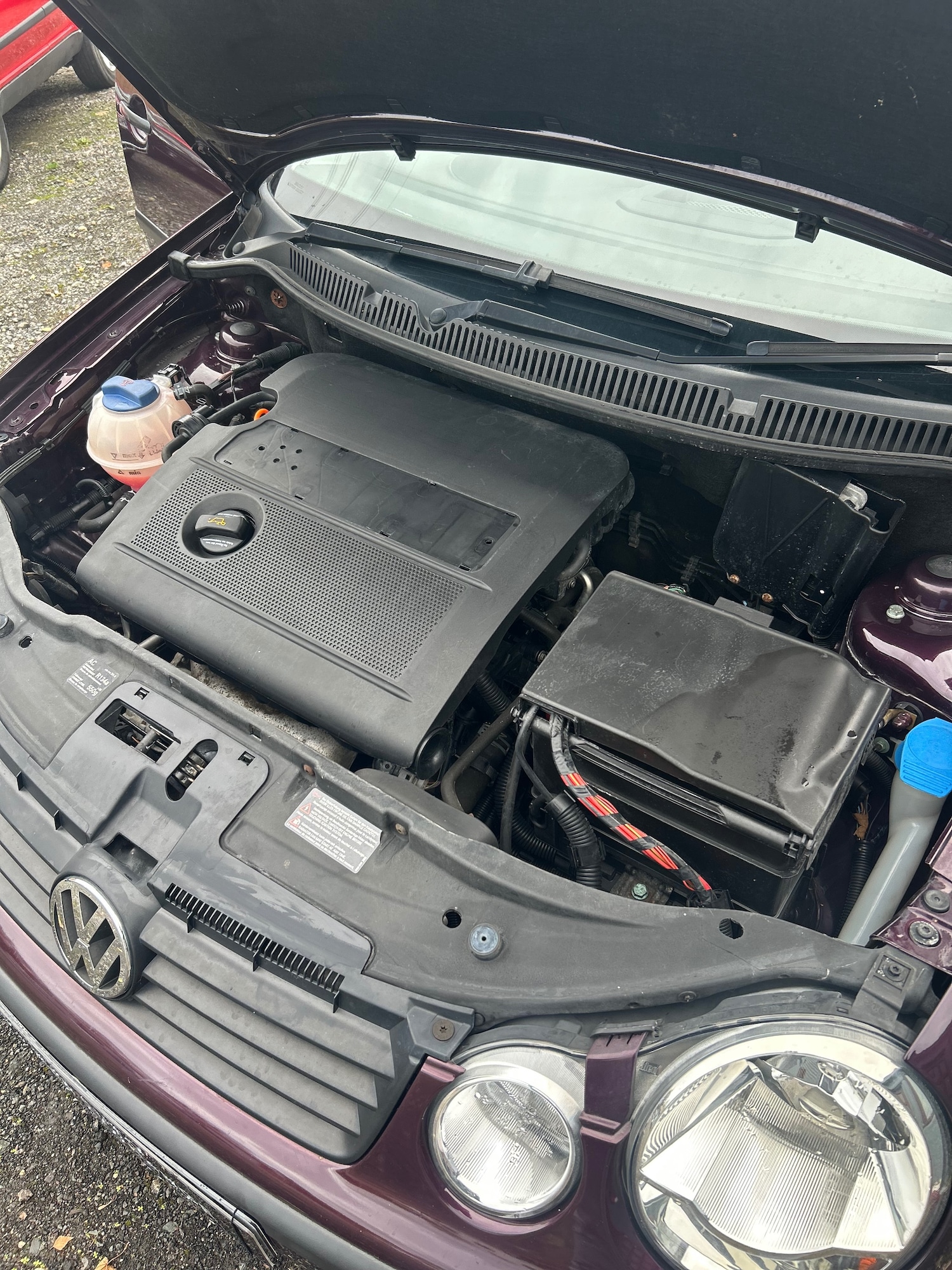 Used Volkswagen Polo 2003 for sale - 76426072: Photo 12