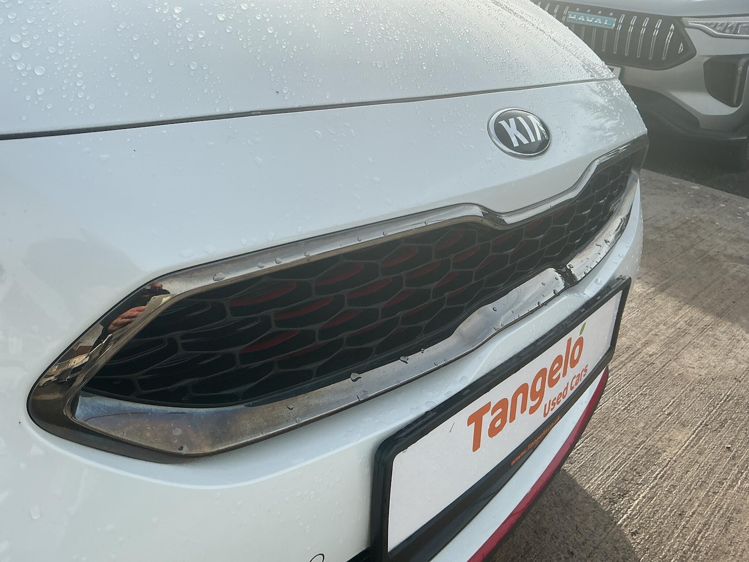 Used Kia Pro Ceed 2020 for sale - 77538041: Photo 19