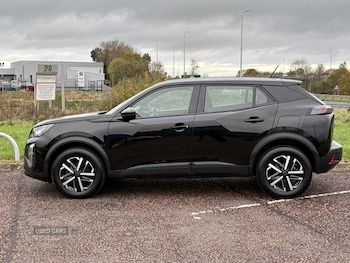 Used Peugeot 2008 2024 for sale - 76500381: Photo
